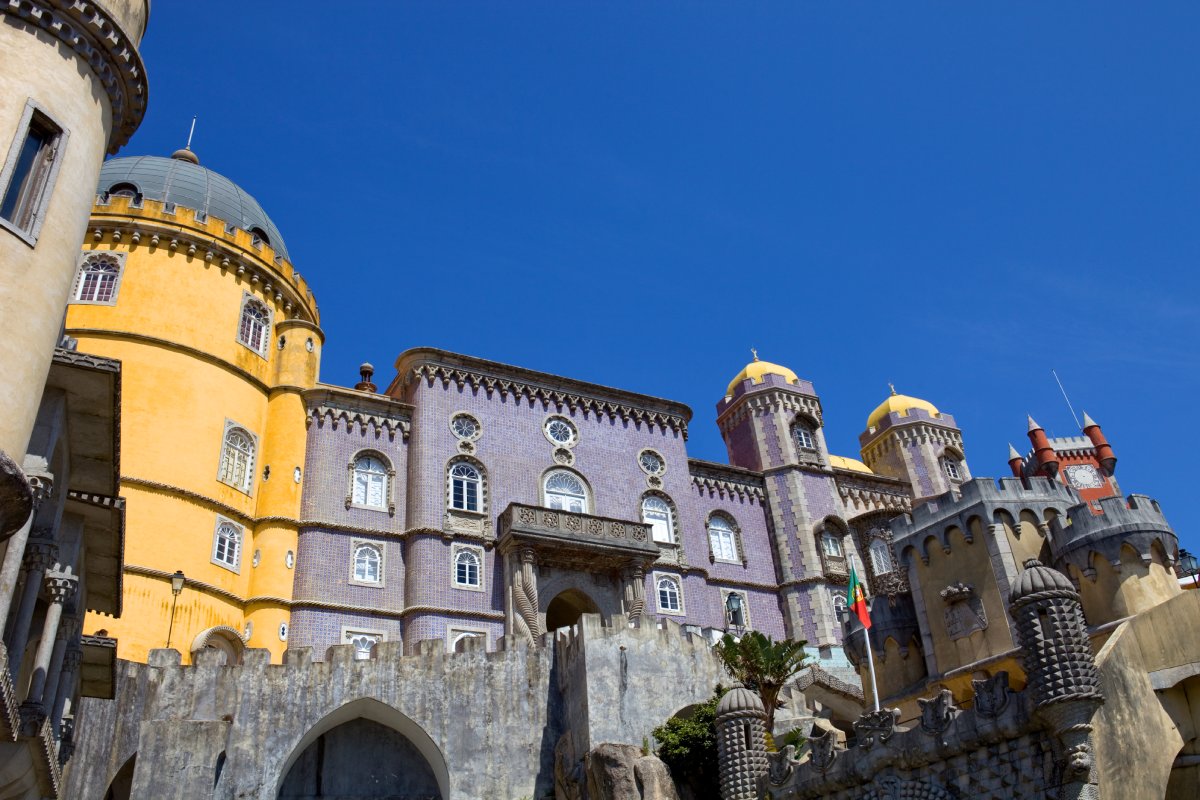 Pena Park\'s Biodiversity: A Guide to the Flora and Fauna